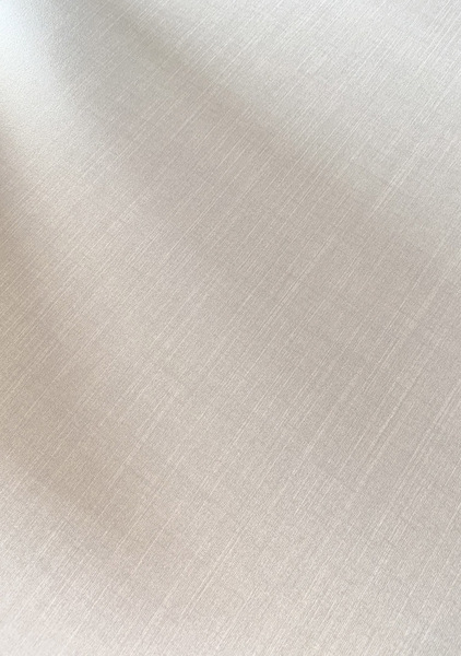 AG3102 艾瑞米白布纹