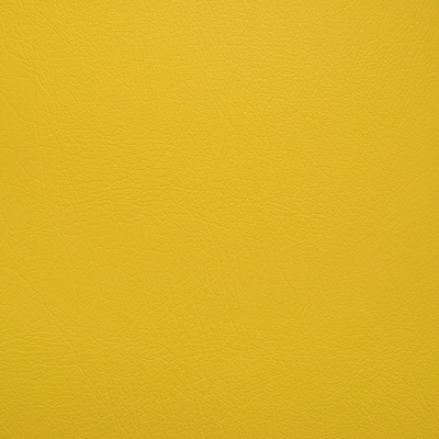 Ag5113 Deborah yellow