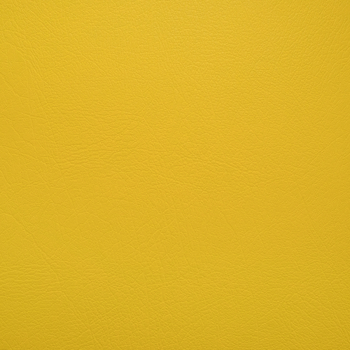 Ag5113 Deborah yellow